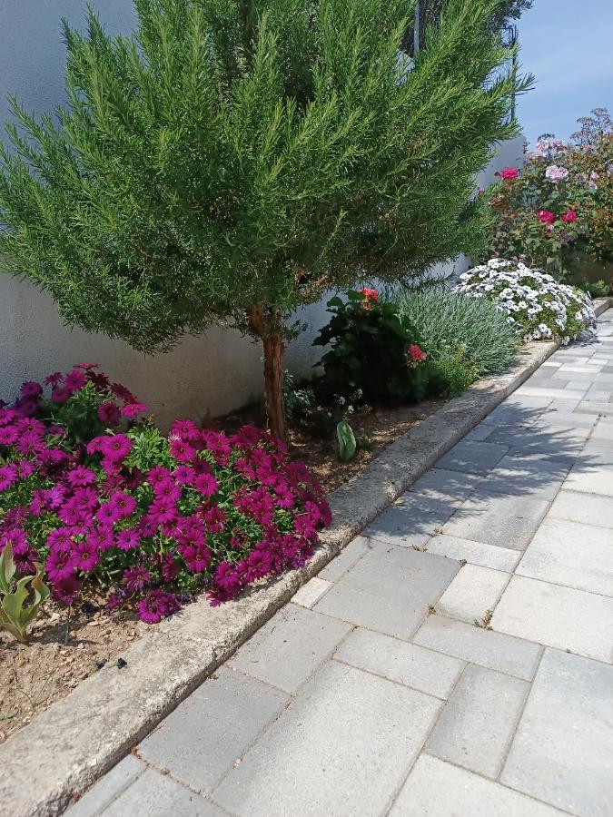 Tonina - House With Terrace, Jacuzzi, Free Parking Apartment Split Exterior photo